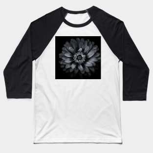 Backyard Flowers In Black And White 69 Baseball T-Shirt